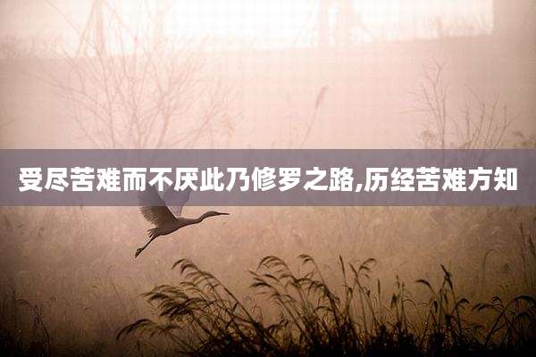受尽苦难而不厌此乃修罗之路,历经苦难方知