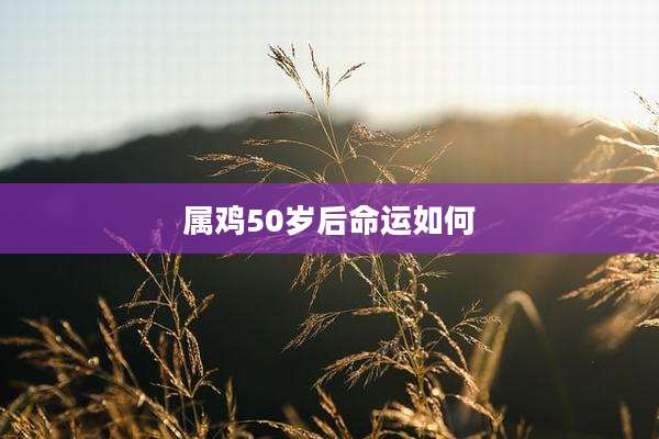 属鸡50岁后命运如何