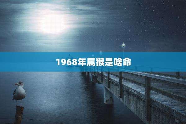1968年属猴是啥命