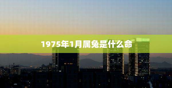 1975年1月属兔是什么命