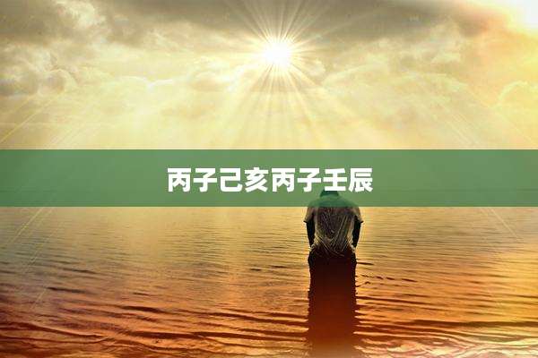 丙子己亥丙子壬辰