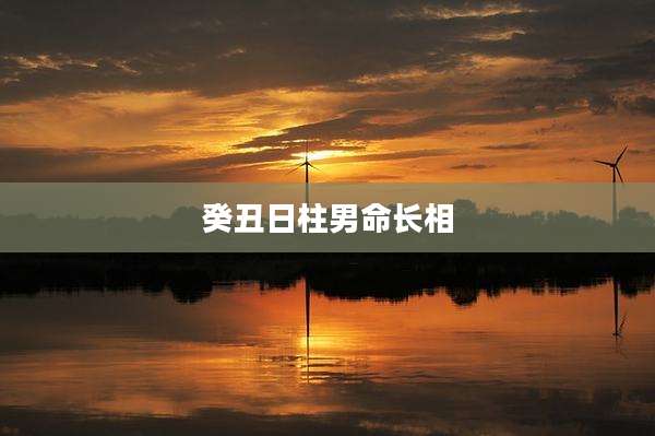 癸丑日柱男命长相