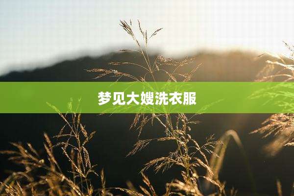 梦见大嫂洗衣服