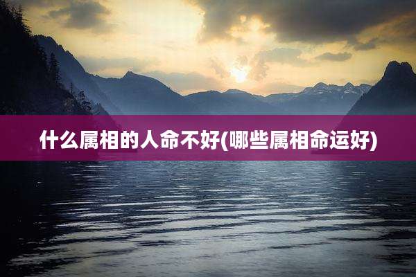 什么属相的人命不好(哪些属相命运好)