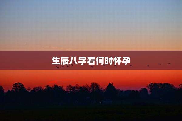 生辰八字看何时怀孕