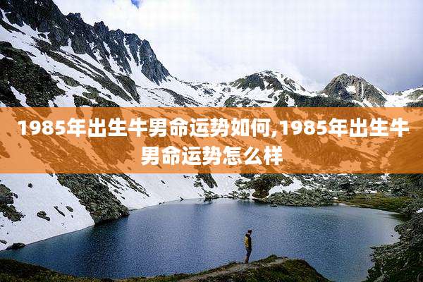1985年出生牛男命运势如何,1985年出生牛男命运势怎么样