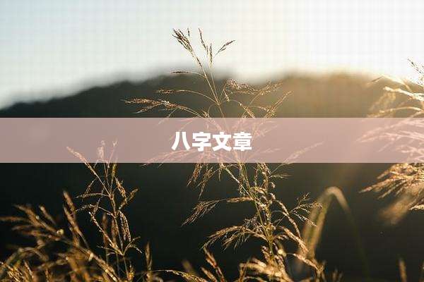 八字文章