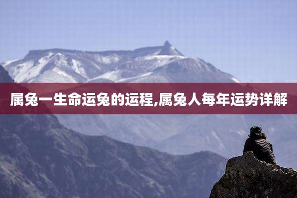 属兔一生命运兔的运程,属兔人每年运势详解