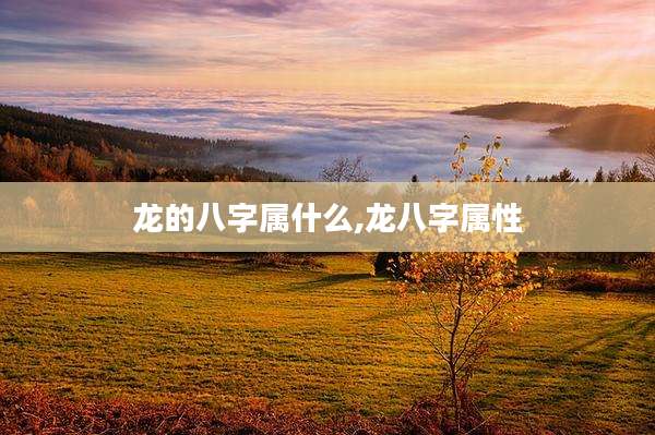 龙的八字属什么,龙八字属性