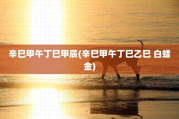 辛巳甲午丁巳甲辰(辛巳甲午丁巳乙巳 白蜡金)
