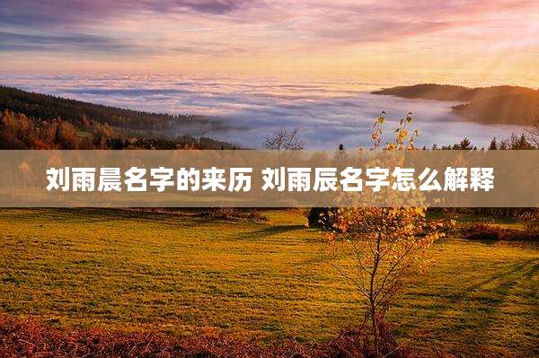刘雨晨名字的来历 刘雨辰名字怎么解释