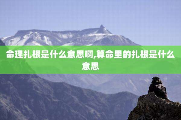 命理扎根是什么意思啊,算命里的扎根是什么意思