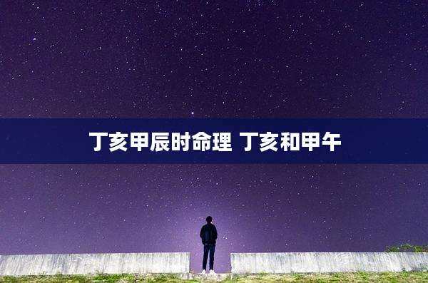 丁亥甲辰时命理 丁亥和甲午