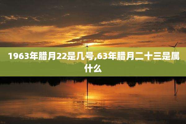 1963年腊月22是几号,63年腊月二十三是属什么