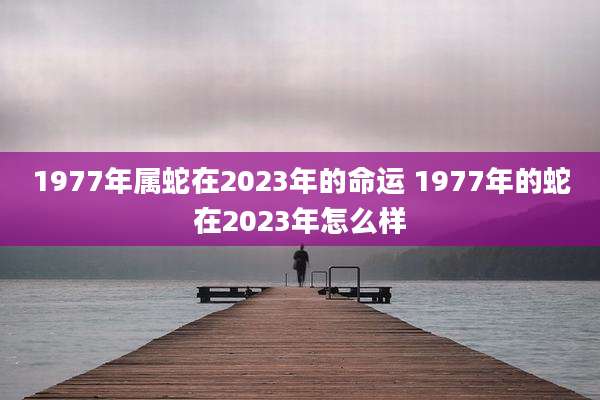 1977年属蛇在2023年的命运 1977年的蛇在2023年怎么样