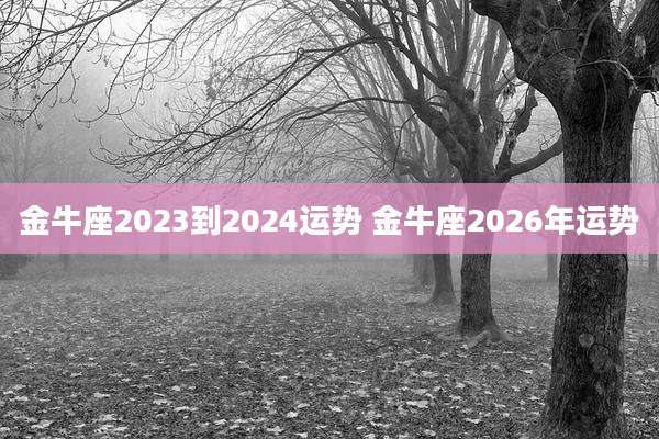 金牛座2023到2024运势 金牛座2026年运势