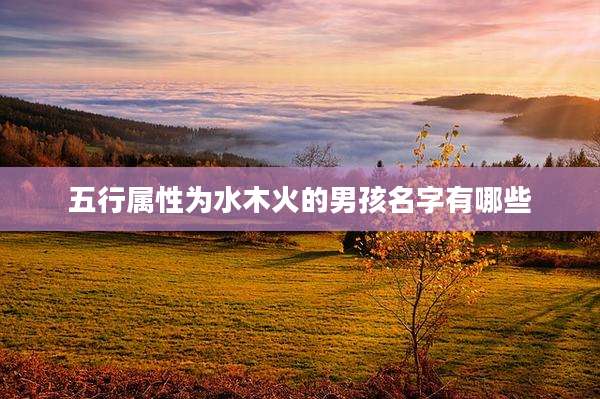 五行属性为水木火的男孩名字有哪些