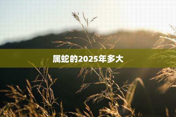 属蛇的2025年多大