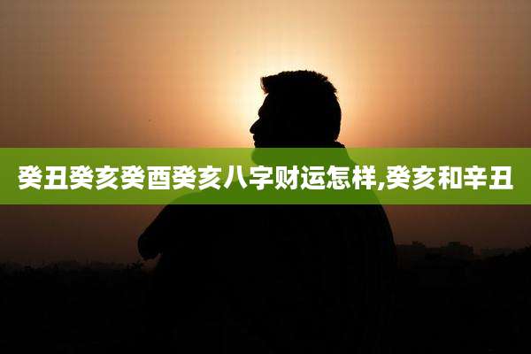 癸丑癸亥癸酉癸亥八字财运怎样,癸亥和辛丑