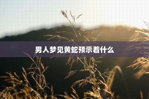 男人梦见黄蛇预示着什么