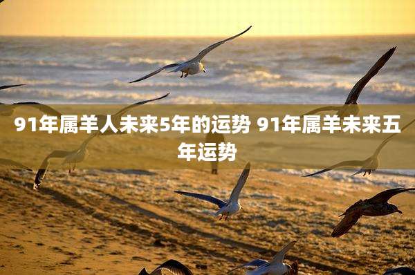 91年属羊人未来5年的运势 91年属羊未来五年运势