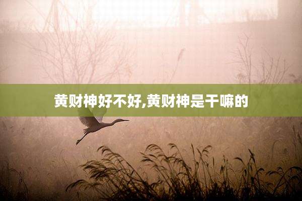 黄财神好不好,黄财神是干嘛的