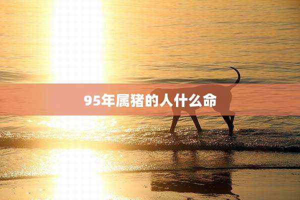 95年属猪的人什么命