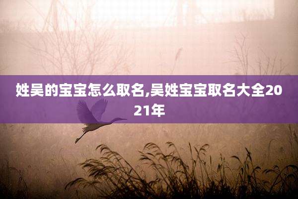 姓吴的宝宝怎么取名,吴姓宝宝取名大全2021年