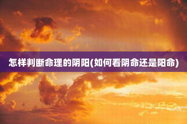 怎样判断命理的阴阳(如何看阴命还是阳命)