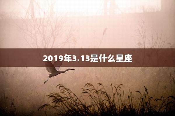 2019年3.13是什么星座