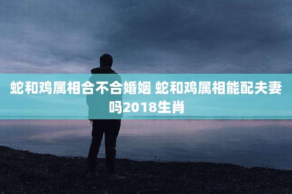蛇和鸡属相合不合婚姻 蛇和鸡属相能配夫妻吗2018生肖