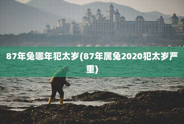 87年兔哪年犯太岁(87年属兔2020犯太岁严重)