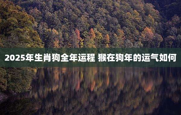 2025年生肖狗全年运程 猴在狗年的运气如何