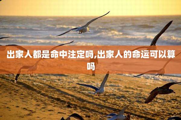 出家人都是命中注定吗,出家人的命运可以算吗
