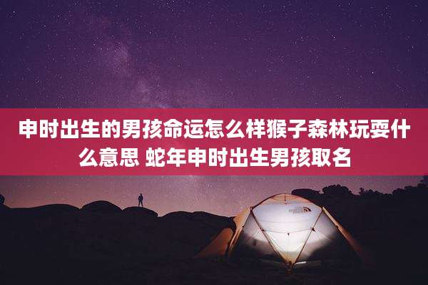 申时出生的男孩命运怎么样猴子森林玩耍什么意思 蛇年申时出生男孩取名