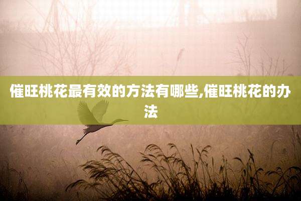 催旺桃花最有效的方法有哪些,催旺桃花的办法