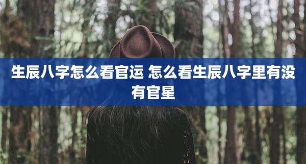 生辰八字怎么看官运 怎么看生辰八字里有没有官星