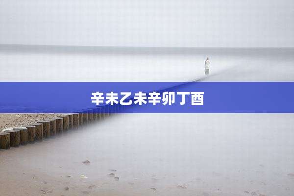 辛未乙未辛卯丁酉