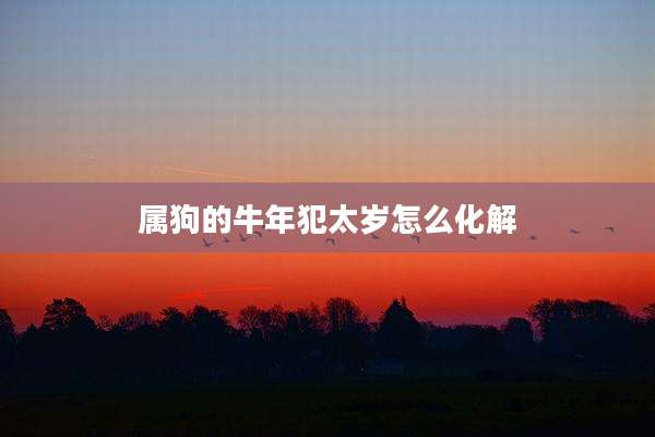 属狗的牛年犯太岁怎么化解