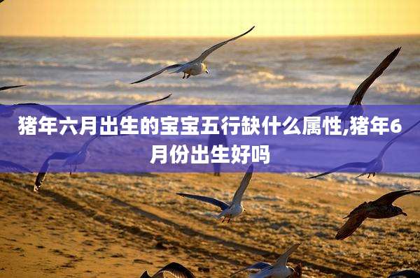猪年六月出生的宝宝五行缺什么属性,猪年6月份出生好吗