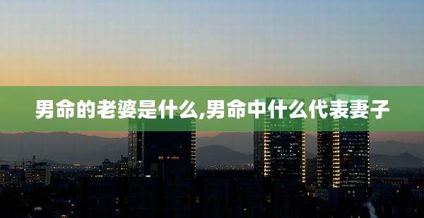 男命的老婆是什么,男命中什么代表妻子