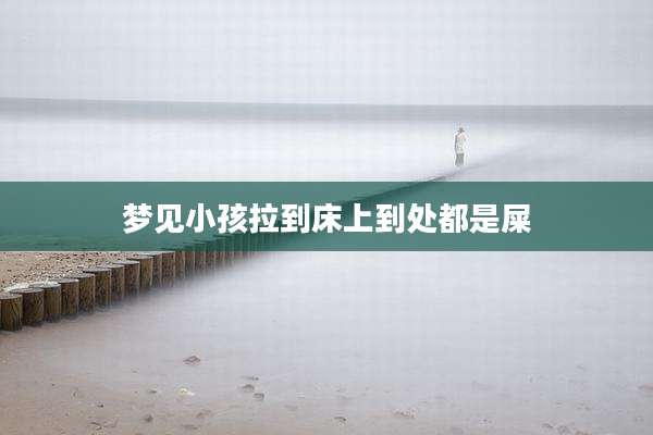 梦见小孩拉到床上到处都是屎