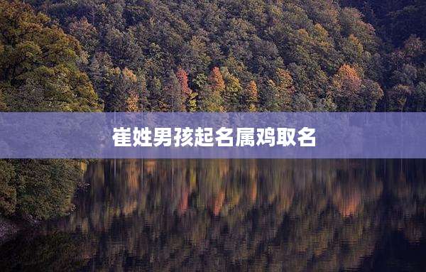崔姓男孩起名属鸡取名