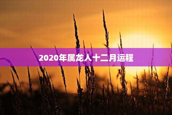 2020年属龙人十二月运程