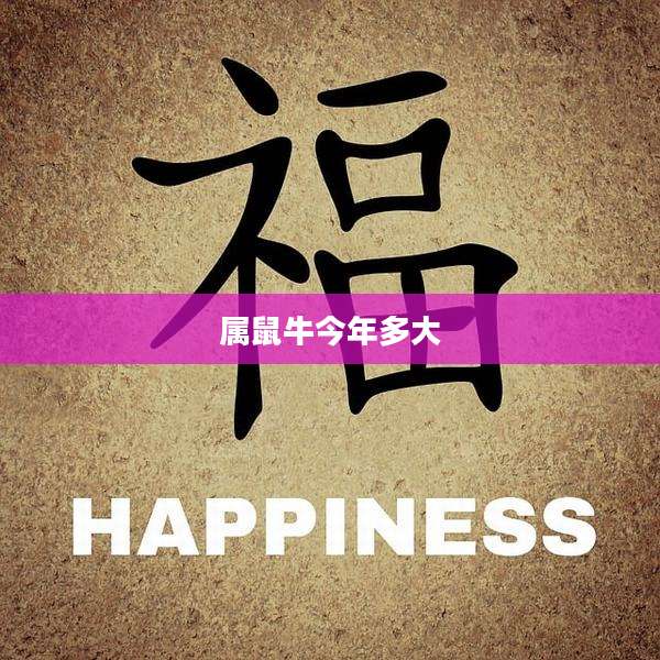 属鼠牛今年多大