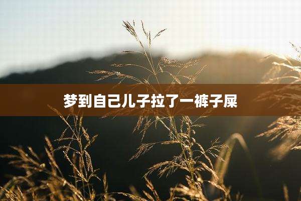 梦到自己儿子拉了一裤子屎