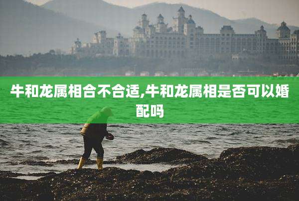 牛和龙属相合不合适,牛和龙属相是否可以婚配吗