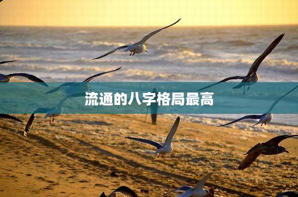 流通的八字格局最高
