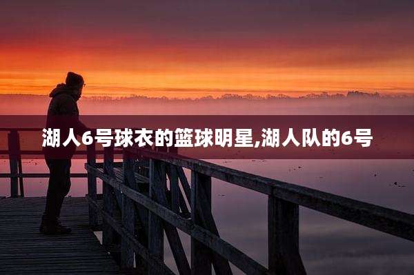 湖人6号球衣的篮球明星,湖人队的6号