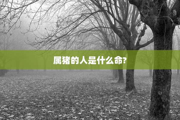 属猪的人是什么命?